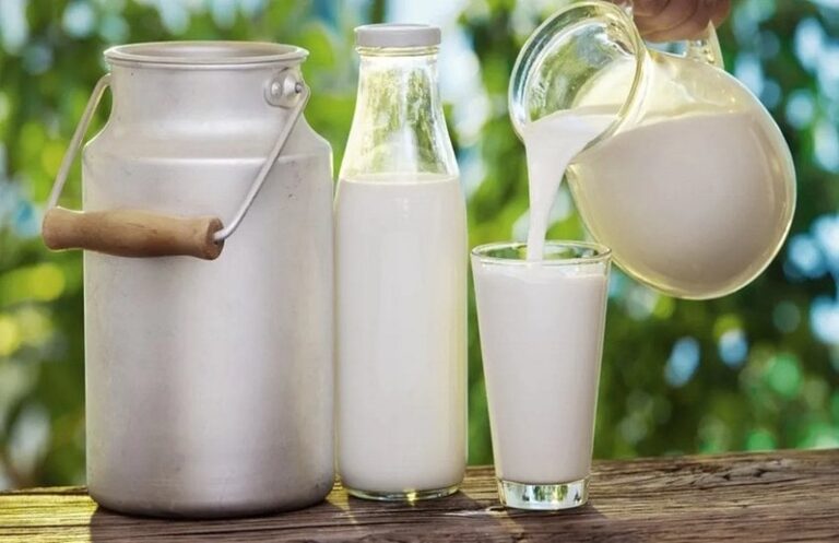 Know how the increase in milk production in the country? Learn the history of National Milk Day