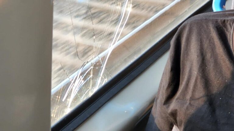 Stones were thrown at Asaduddin Owaisi while traveling by train from Ahmedabad to Surat