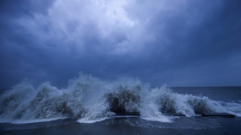 Cyclone Mandus wreaks havoc in Chennai, 4 dead, over 400 trees uprooted