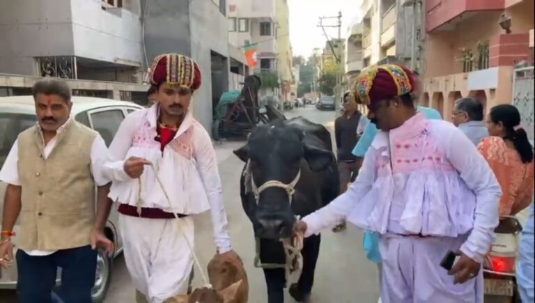 Gujarat Elections: Leaders of the Maldhari community arrived in Rajkot to vote with a cow and a calf