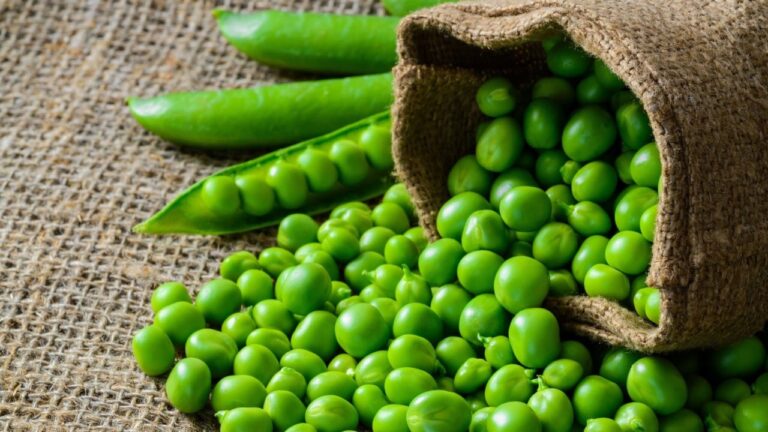 These 5 people should not eat anything made of peas, it will cause harm instead of benefit