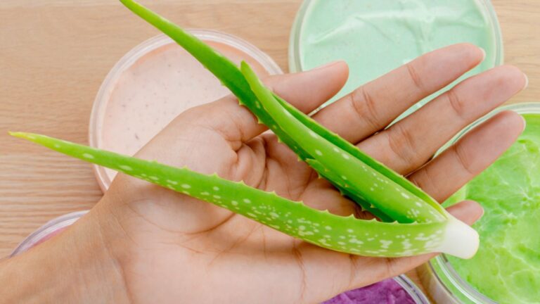 Suffering from sunburn, aloe vera will prove to be a boon for you