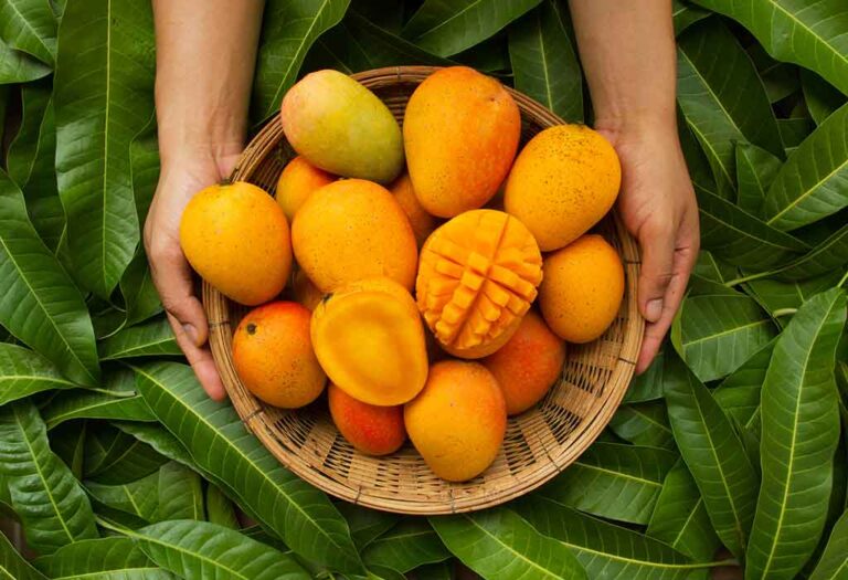 Want to buy sweet and juicy mangoes, 5 tricks will work, even children will enjoy eating them