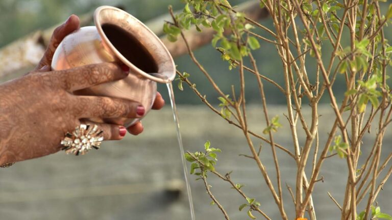 Do these Tulsi remedies on Varuthi Ekadashi, happiness and prosperity will come to the house