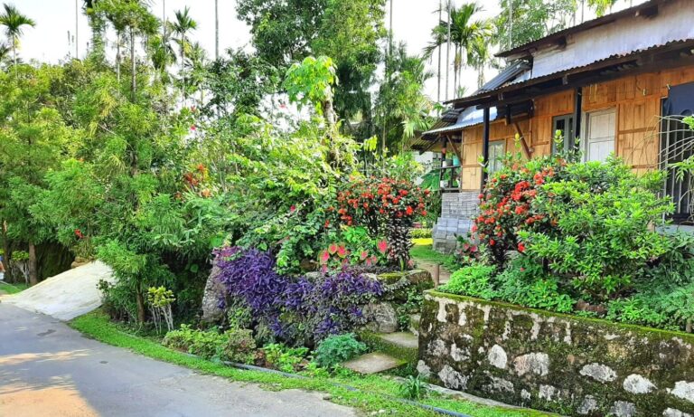 The cleanest village in Asia, where the houses are made of bamboo, is second only to foreign countries in beauty