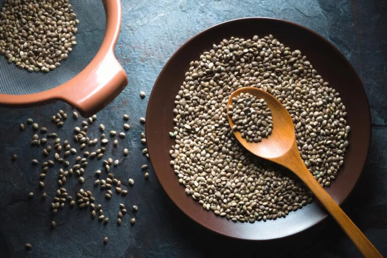 Hemp Seeds Benefits: From weight loss to healthy digestion, hemp seed oil has many benefits