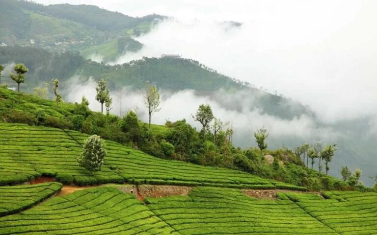 this-hill-station-of-south-india-is-suitable-for-trekking-in-monsoon-just-keep-these-things-in-mind