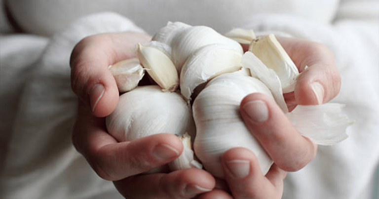 Garlic is a panacea for diabetes and high cholesterol, so include it in your diet