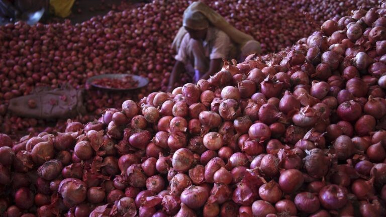 The government imposed a ban on the export of onions, a decision taken due to rising prices