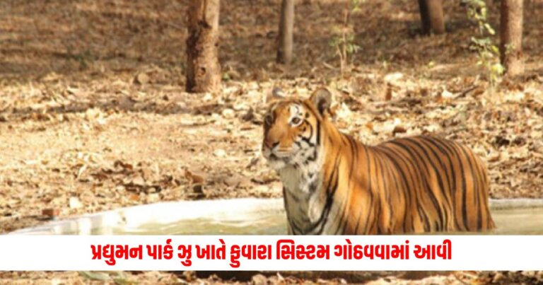 Rajkot News : Fountain system for birds and animals was installed in Pradyuman Park Zoo, artistic wooden shelters were also made for sitting.